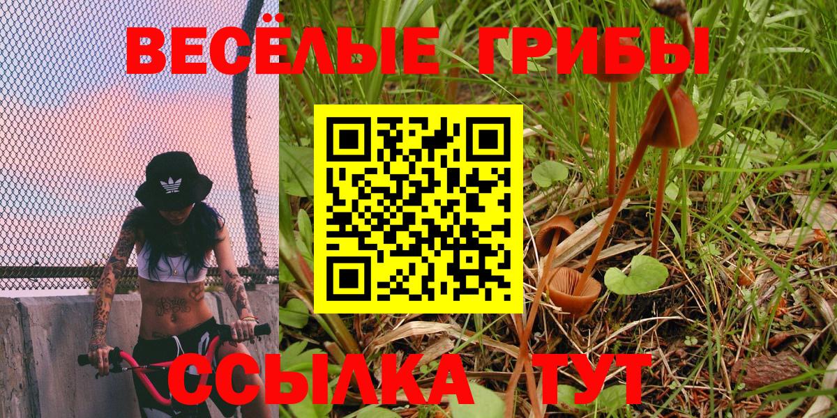 Псилоцибиновые грибы Psilocybine cubensis  магазин  наркотиков  Братск  Вход с VPN  Галлюциногенные грибы прущие грибы 