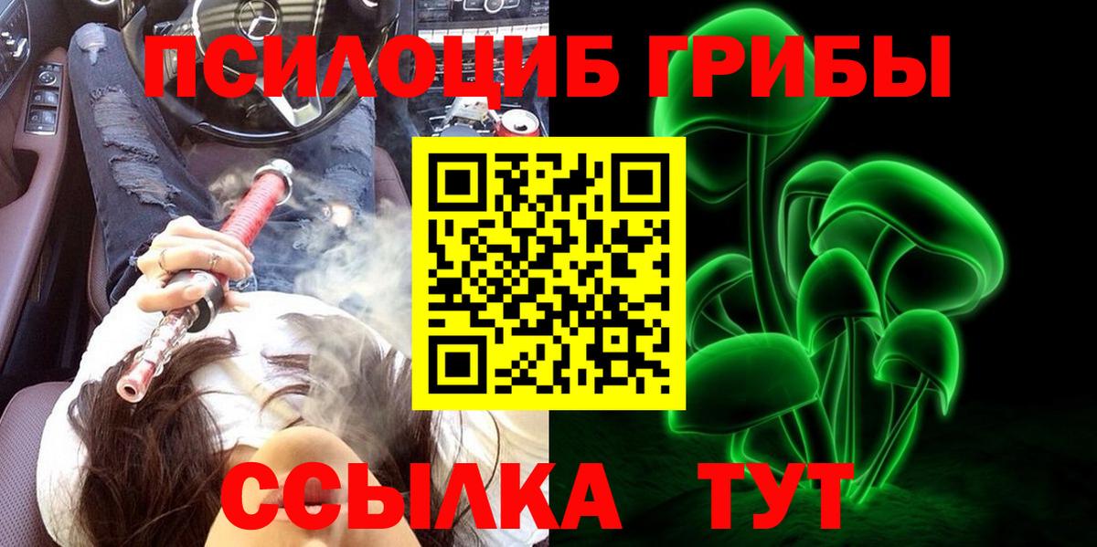 Псилоцибиновые грибы Cubensis Братск